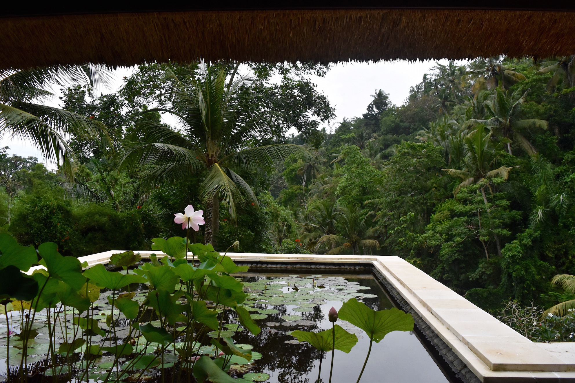A Lovely Planet - The Four Seasons Sayan, Bali 
