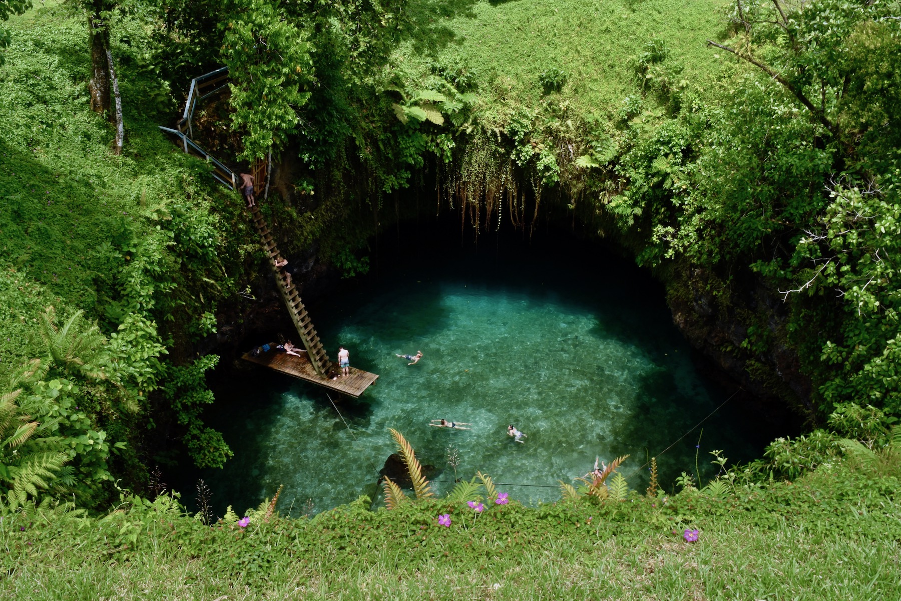 The incredible natural pool of To Sua Ocean Trench. Clear blue water accessed by a ladder. 