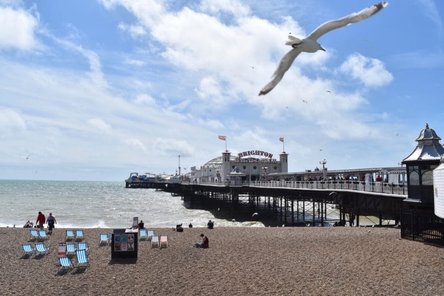 A seagull flies past Brighton Pier on a sunny day